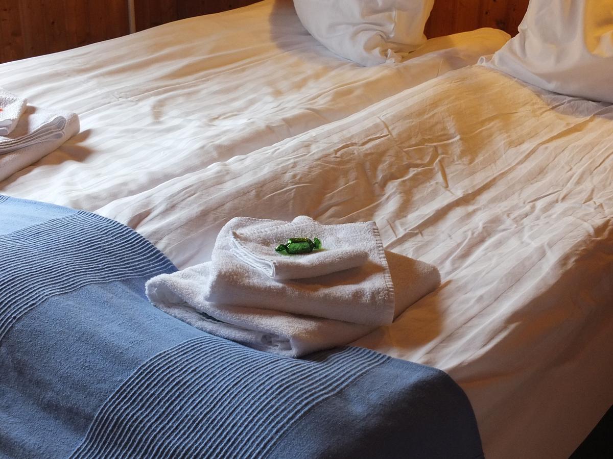 Apartment Nethra-Vatnshorn Hvammstangi Dış mekan fotoğraf